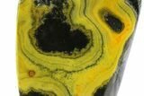 Very Vibrant, Free-Standing Polished Bumblebee Jasper #373346-1